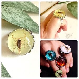 2/$30🌵 Real Resin Scorpion Adjustable Ring Insects Bugs Southwestern Western